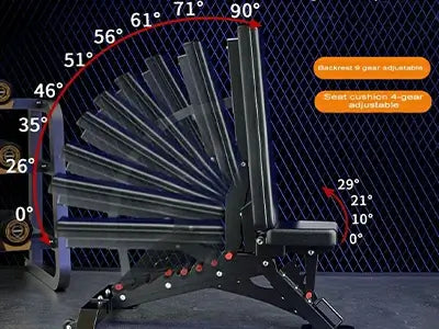 Choose the Best Weight Bench For Home Gym