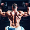 What Muscles Do Overhead Press Work | RitKeep
