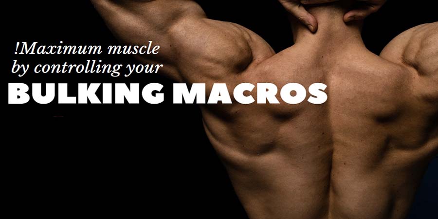 Maximum Muscle By Controlling Your Bulking Macros