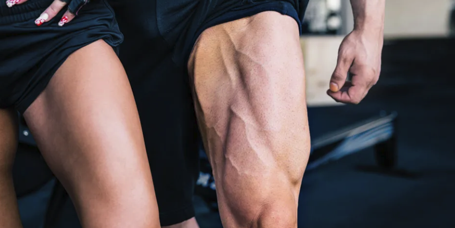 15 Effective Workout Bench Leg Exercises for Building Stronger Legs