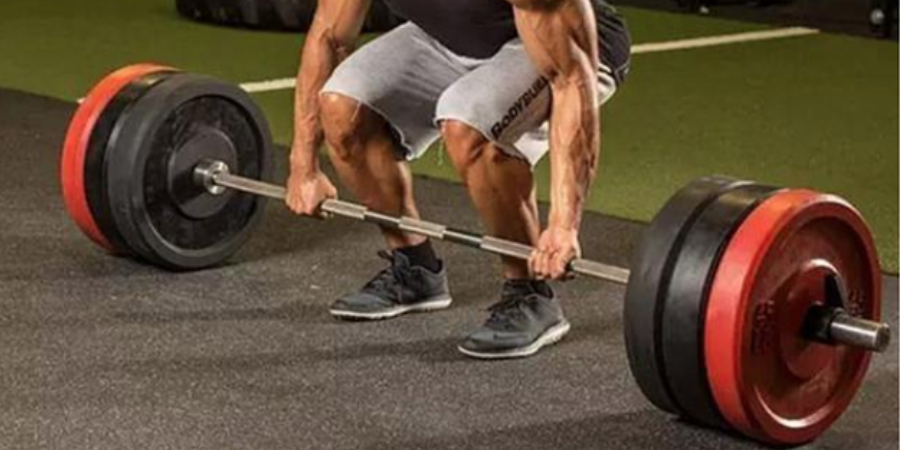 Olympic Bar vs Standard bar: Which One ls Right for You?