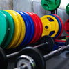 Types of Weights: A Complete Guide for Every Fitness Level | RitKeep