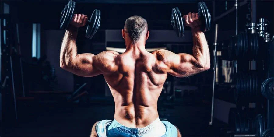 What Muscles Do Overhead Press Work?