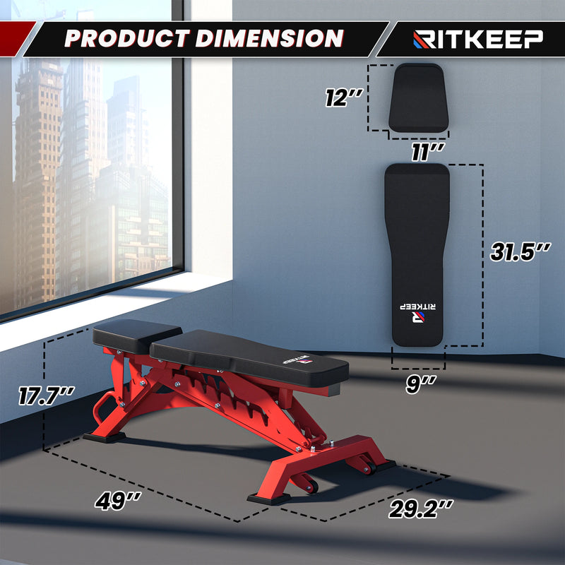 4ft Olympic EZ Curl Bar & Weight Bench Package